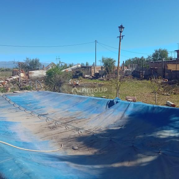Finca en Venta en Maipu, Mendoza