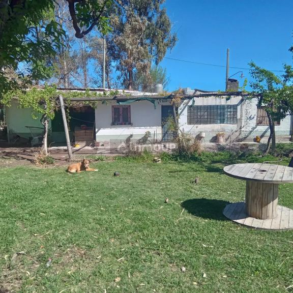 Finca en Venta en Maipu, Mendoza