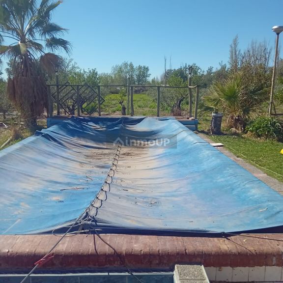 Finca en Venta en Maipu, Mendoza