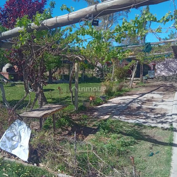 Finca en Venta en Maipu, Mendoza