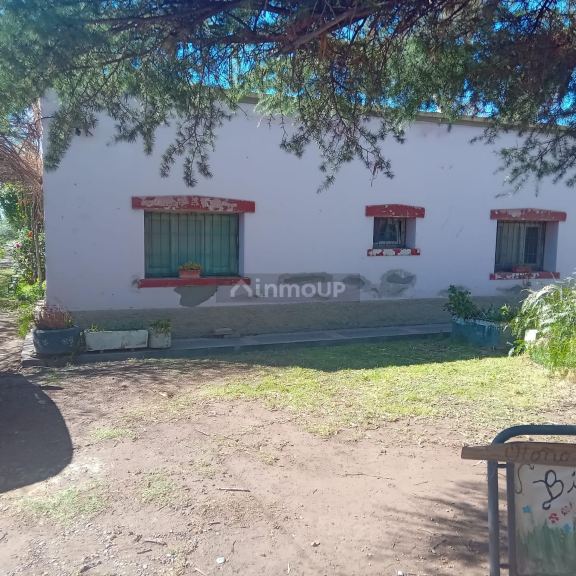 Finca en Venta en Maipu, Mendoza