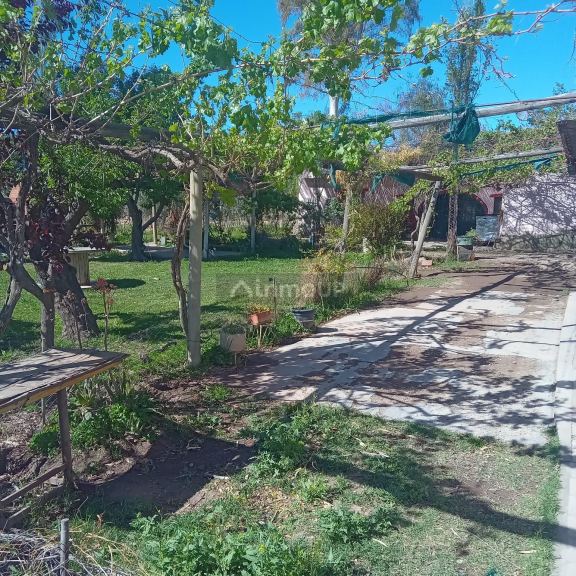 Finca en Venta en Maipu, Mendoza