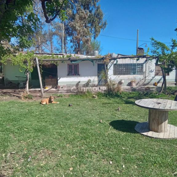 Finca en Venta en Maipu, Mendoza