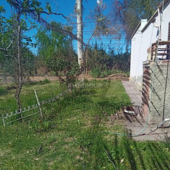 Finca en Venta en Maipu, Mendoza