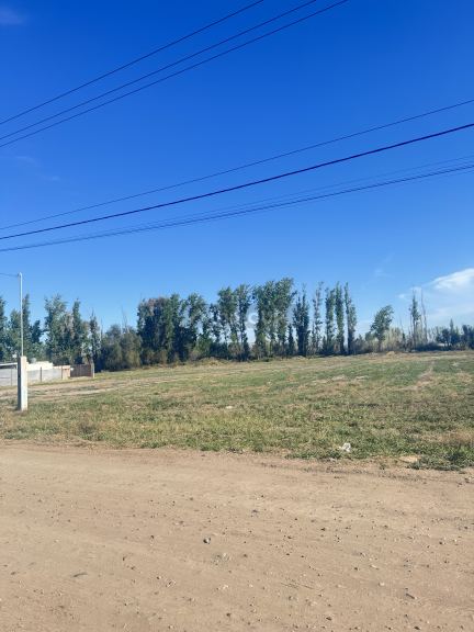 Lote en Venta en San Martin, Mendoza