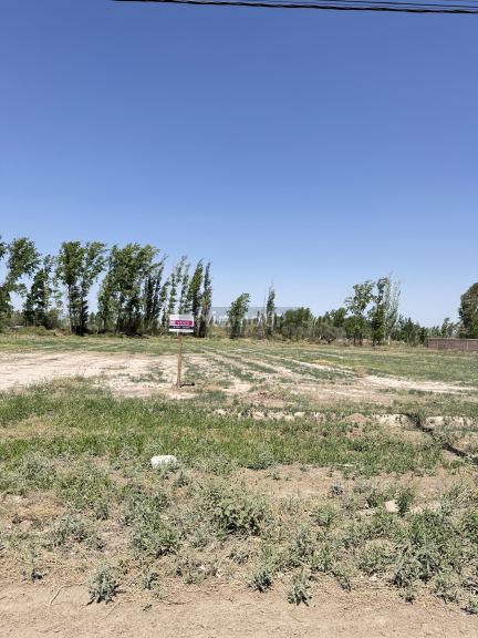 Lote en Venta en San Martin, Mendoza