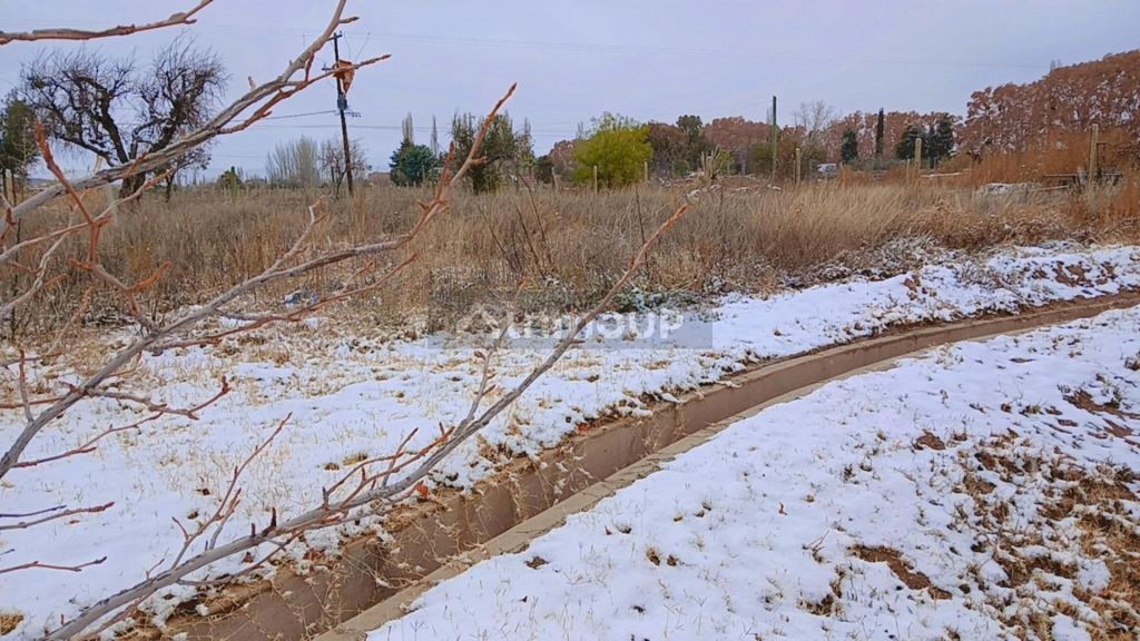 Lote en Venta en Lujan de Cuyo, Mendoza