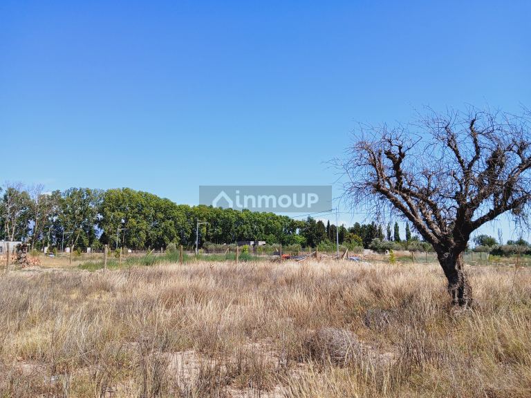 Lote en Venta en Lujan de Cuyo, Mendoza