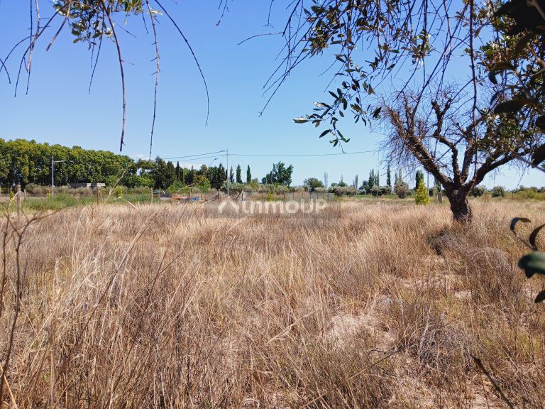 Lote en Venta en Lujan de Cuyo, Mendoza