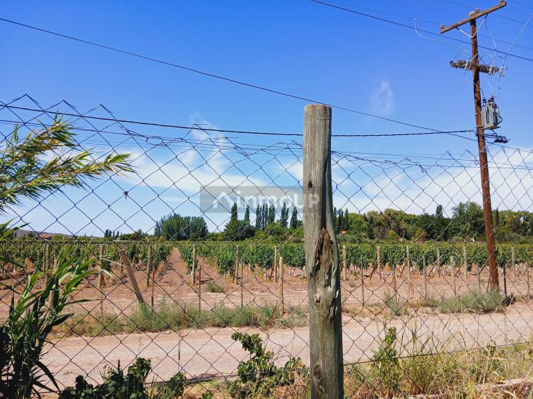 Lote en Venta en Lujan de Cuyo, Mendoza