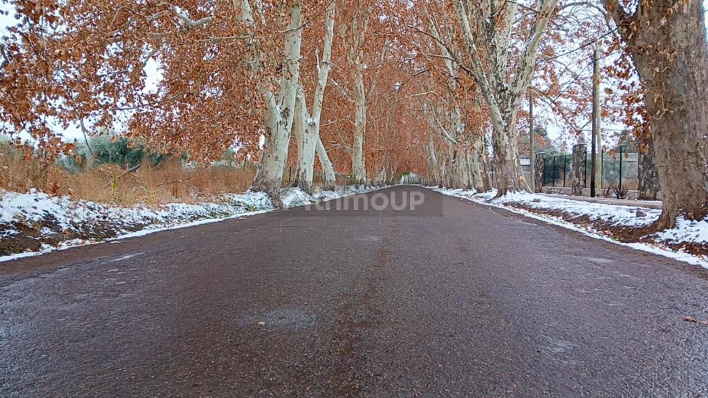 Lote en Venta en Lujan de Cuyo, Mendoza