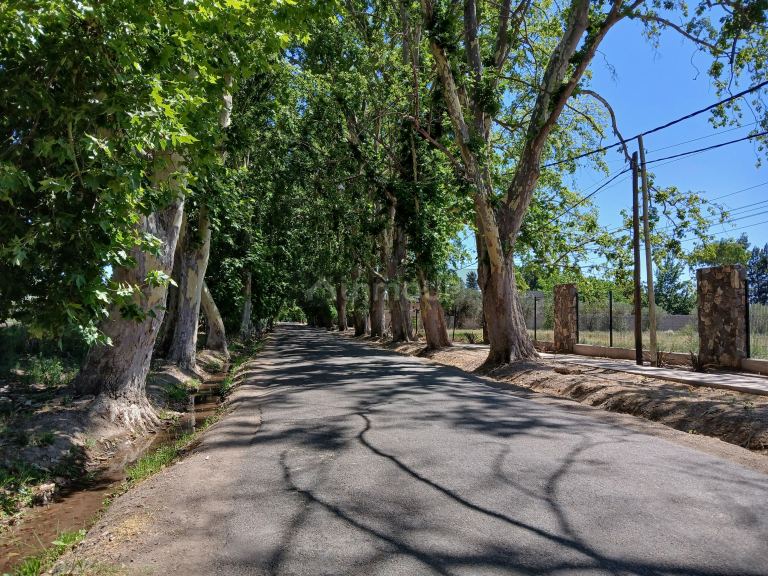 Lote en Venta en Lujan de Cuyo, Mendoza