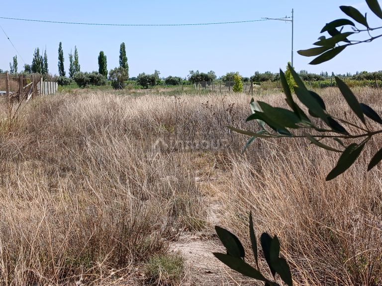 Lote en Venta en Lujan de Cuyo, Mendoza