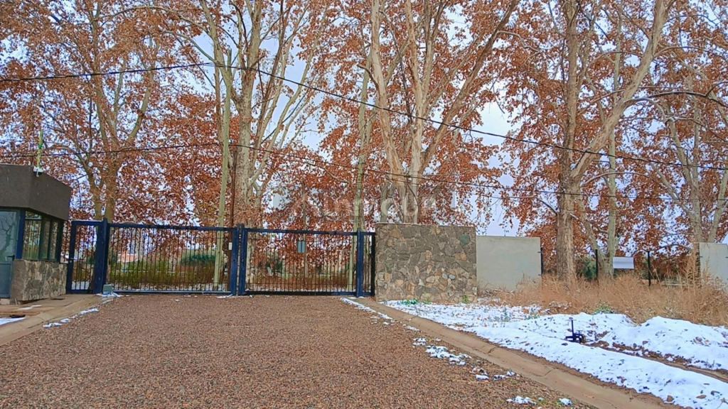 Lote en Venta en Lujan de Cuyo, Mendoza