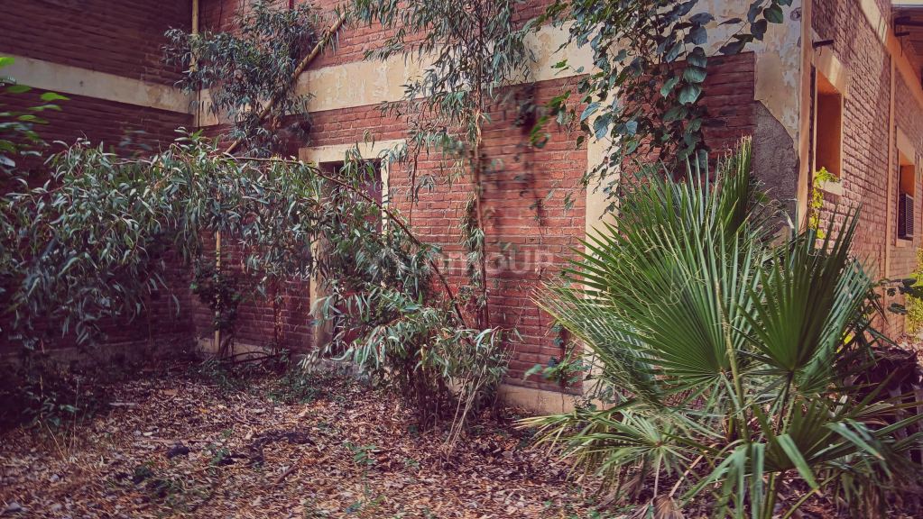 Local Comercial en Venta en San Martin, Mendoza