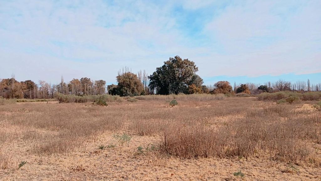 Campo en Venta en San Rafael, Mendoza