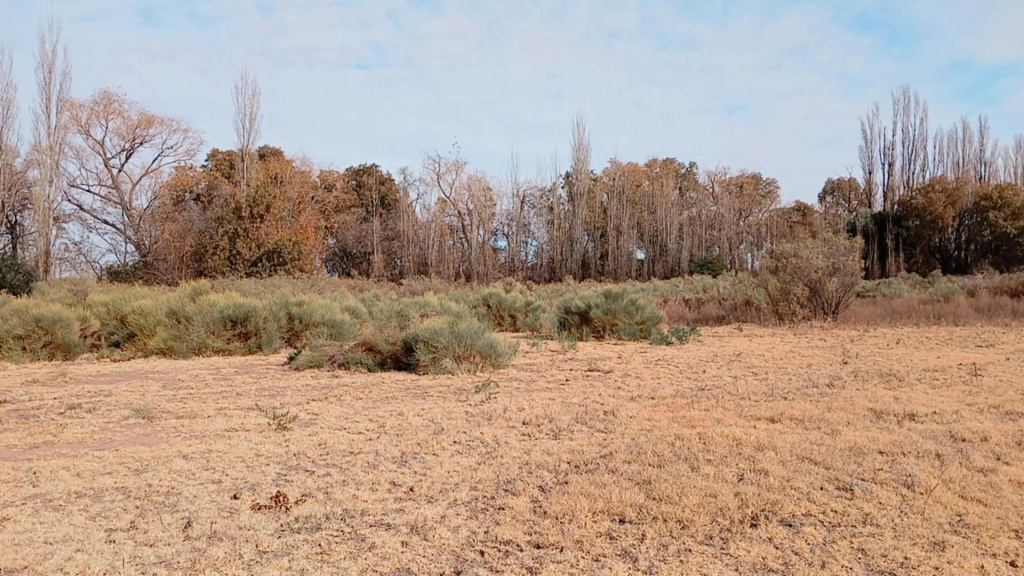 Campo en Venta en San Rafael, Mendoza