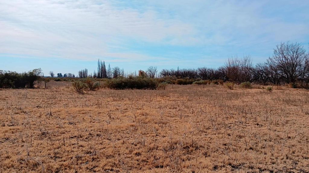 Campo en Venta en San Rafael, Mendoza