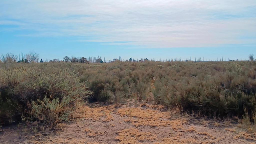 Campo en Venta en San Rafael, Mendoza