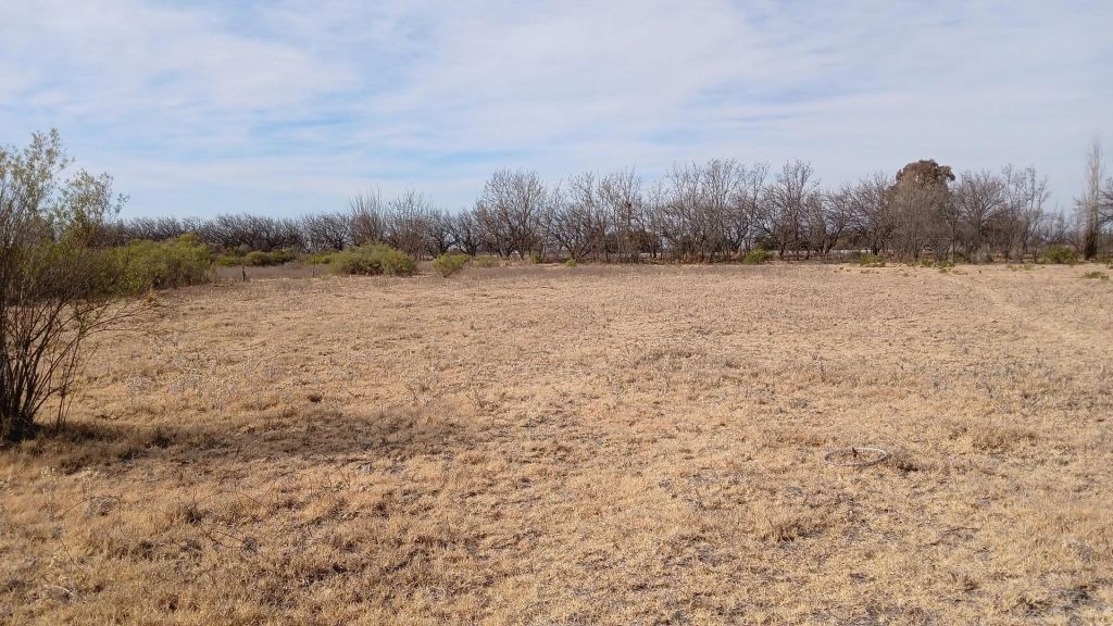 Campo en Venta en San Rafael, Mendoza