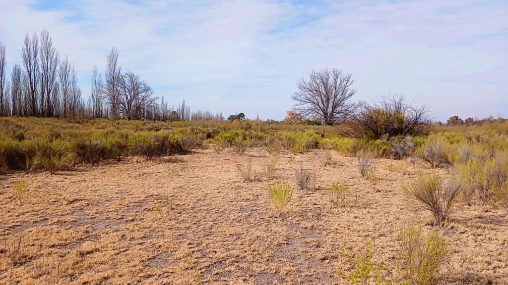 Campo en Venta en San Rafael, Mendoza