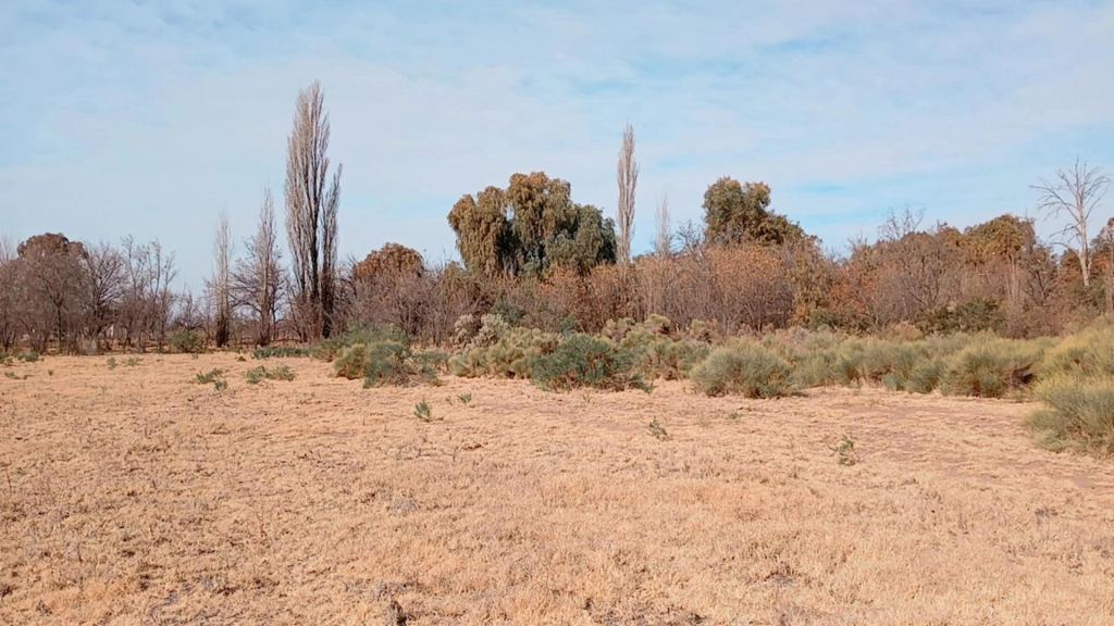 Campo en Venta en San Rafael, Mendoza
