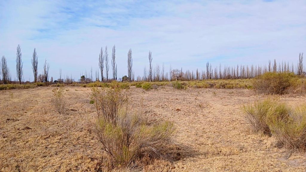 Campo en Venta en San Rafael, Mendoza