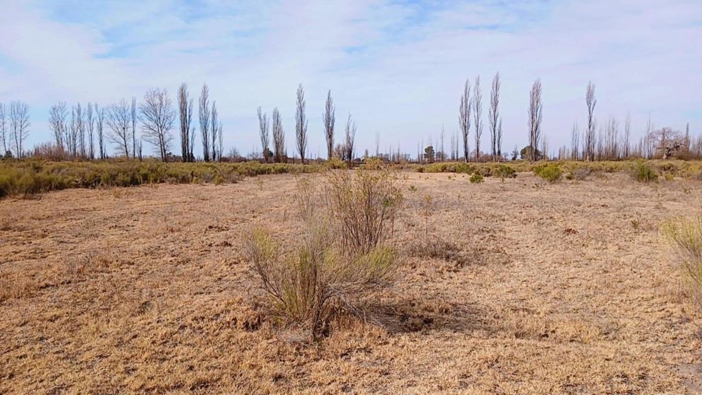 Campo en Venta en San Rafael, Mendoza