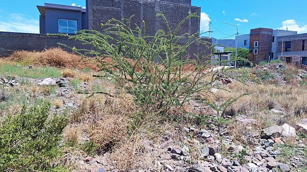 Lote en Venta en Las Heras, Mendoza