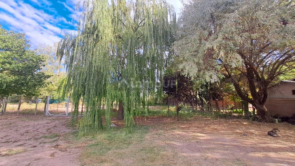 Lote en Venta en Lujan de Cuyo, Mendoza