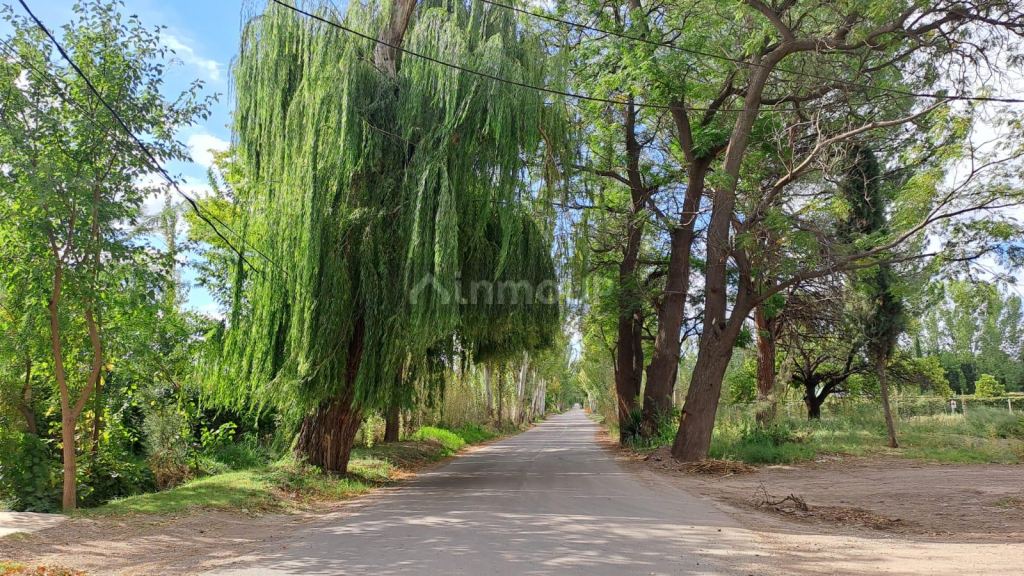 Lote en Venta en Lujan de Cuyo, Mendoza