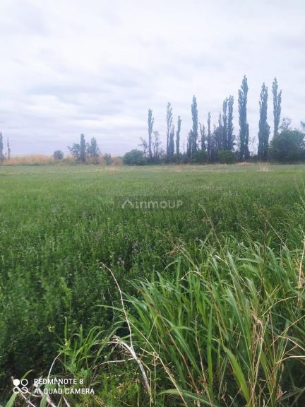 Finca en Venta en La Paz, Mendoza