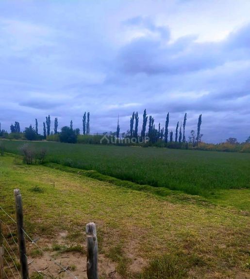 Finca en Venta en La Paz, Mendoza