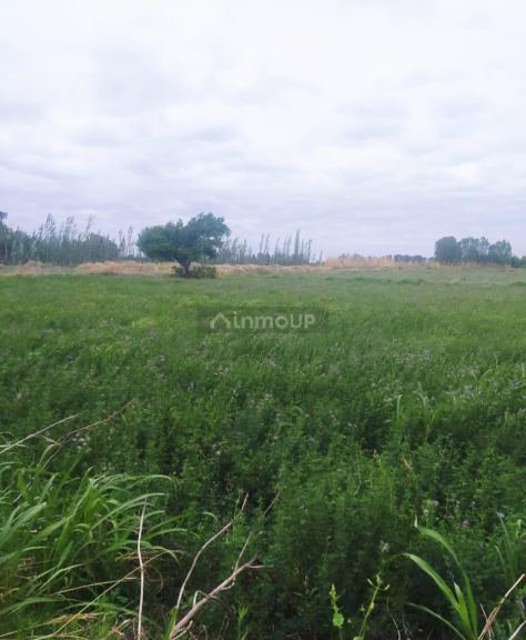 Finca en Venta en La Paz, Mendoza