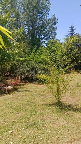 Terreno en Venta en Lujan de Cuyo, Mendoza