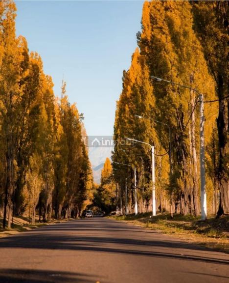 Terreno en Venta en Lujan de Cuyo, Mendoza