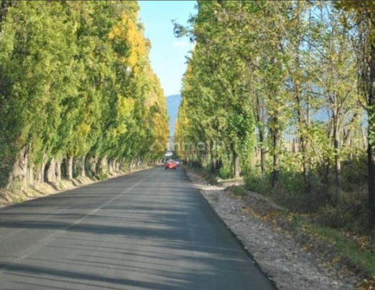 Terreno en Venta en Lujan de Cuyo, Mendoza