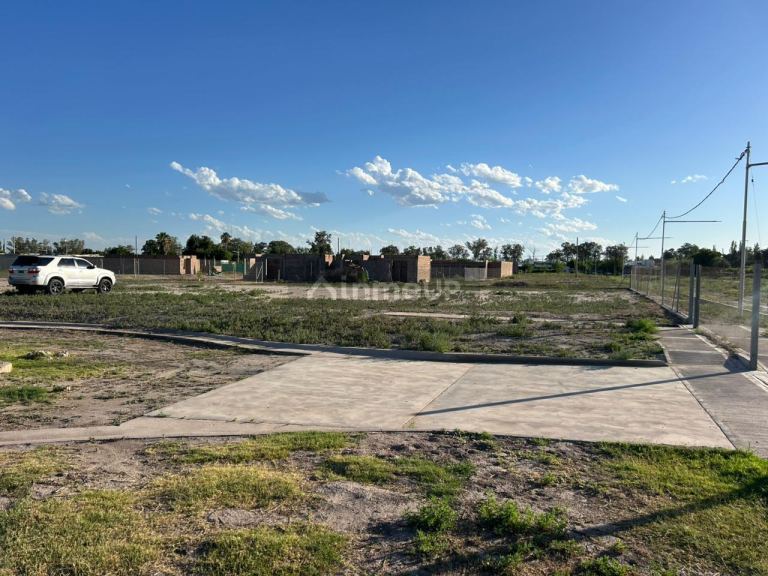 Lote en Venta en San Martin, Mendoza