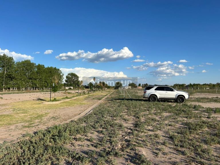 Lote en Venta en San Martin, Mendoza