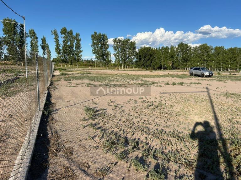 Lote en Venta en San Martin, Mendoza