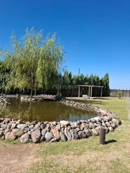 Terreno en Venta en Lavalle, Mendoza