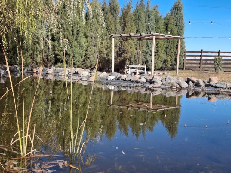Terreno en Venta en Lavalle, Mendoza