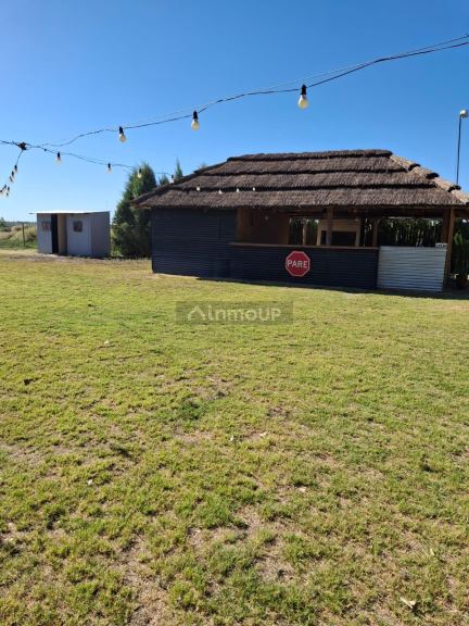 Terreno en Venta en Lavalle, Mendoza