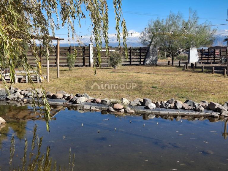 Terreno en Venta en Lavalle, Mendoza