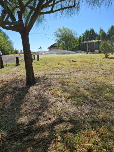 Terreno en Venta en Lavalle, Mendoza