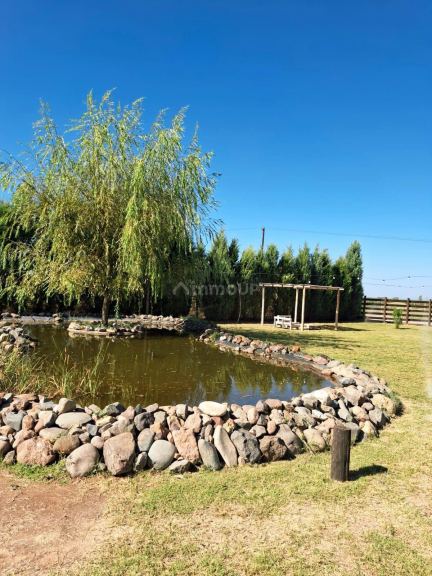 Terreno en Venta en Lavalle, Mendoza