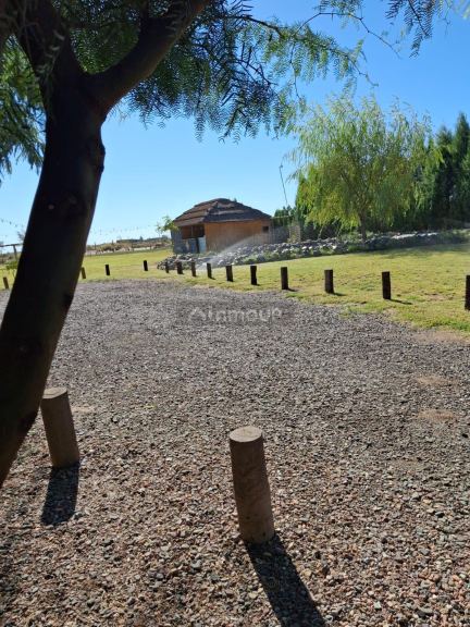 Terreno en Venta en Lavalle, Mendoza