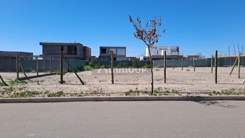 Lote en Venta en Lujan de Cuyo, Mendoza