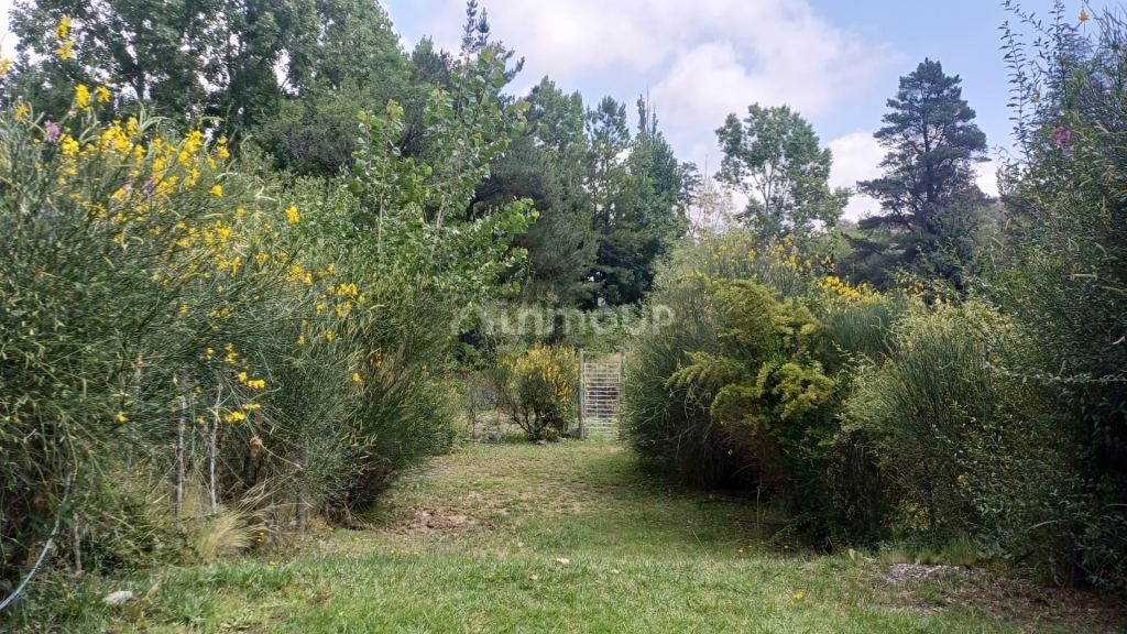 Casa en Alquiler en Lujan de Cuyo, Mendoza