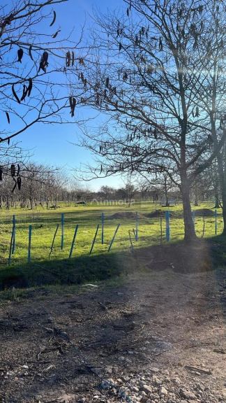 Terreno en Venta en La Plata, G.B.A. Zona Sur